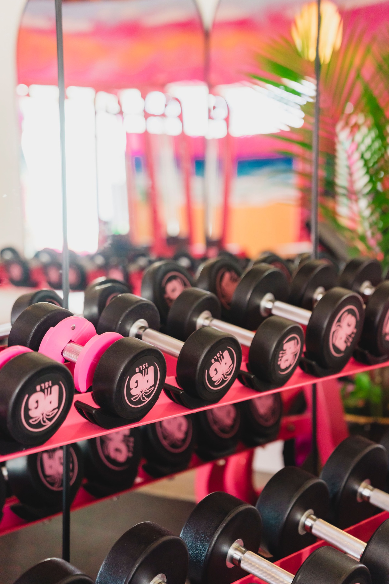Branded PWRGRLS dumbbells on rack