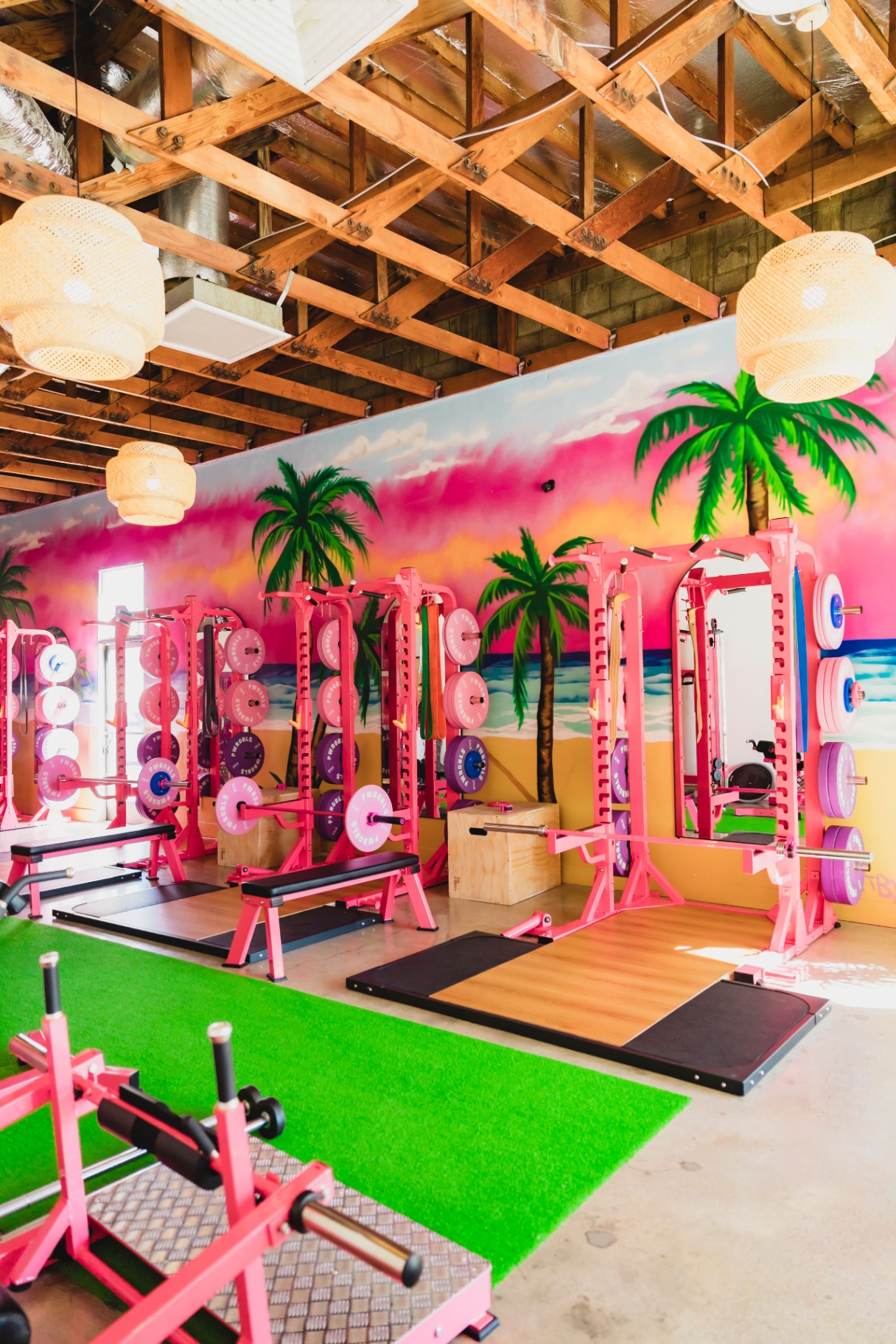 Pink squat racks along sunset palm mural